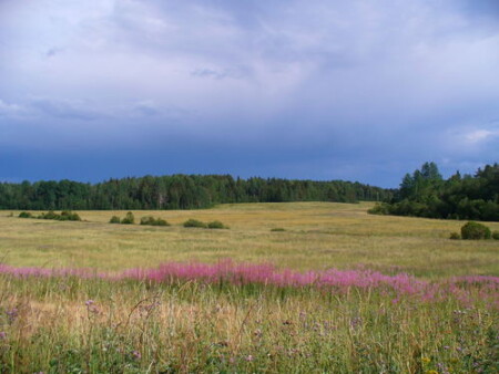 Гладь простора