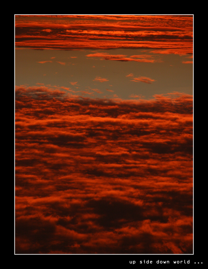 up side down world ...