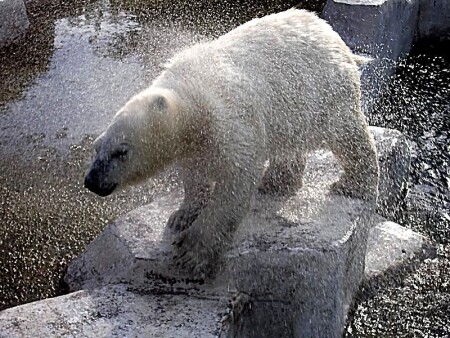 после водных процедур