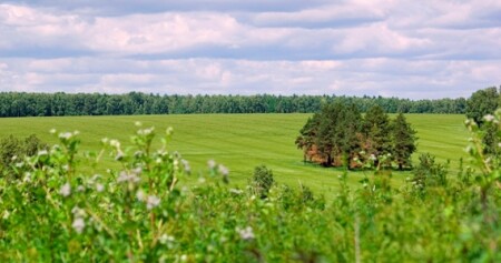 Подмосковье