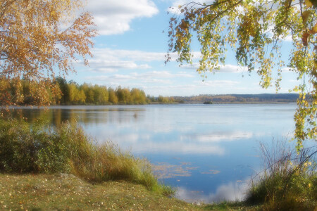 Типа мягкий фокус