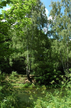 просто пейзаж