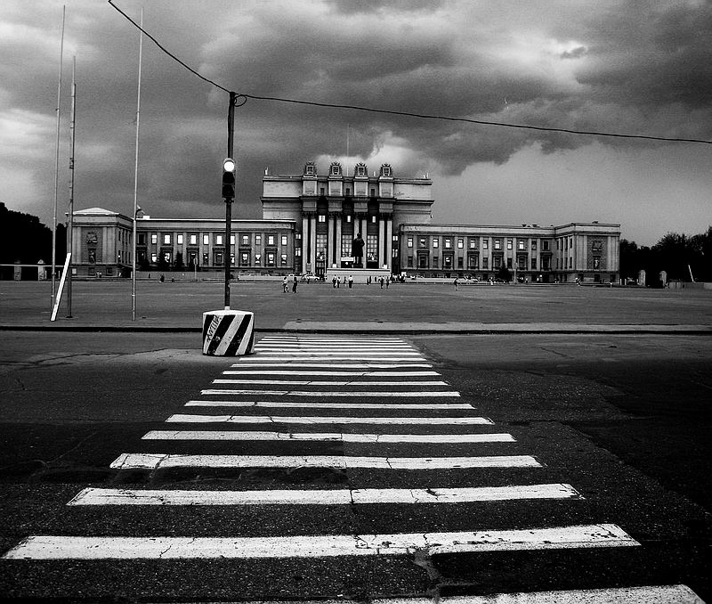 Зебра
