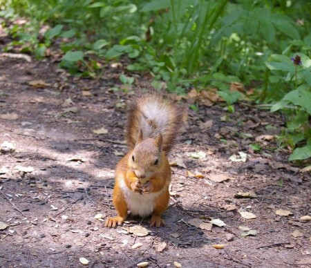 А кушать хочется всегда