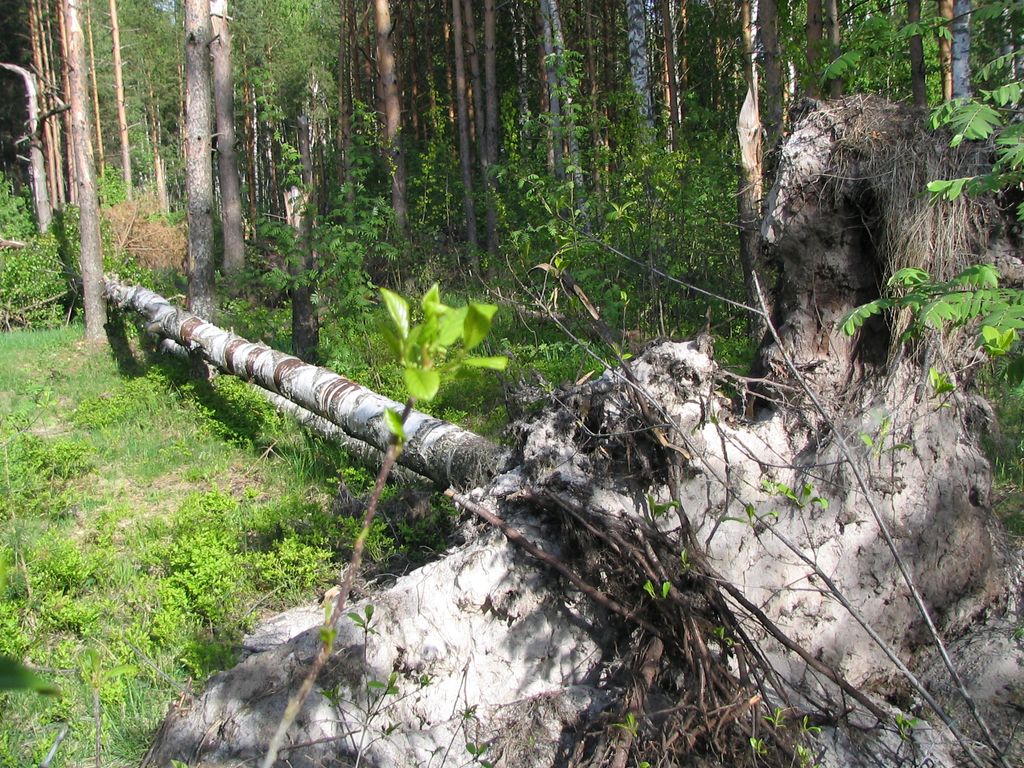 После бури