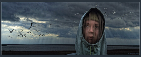 За полярным кругом