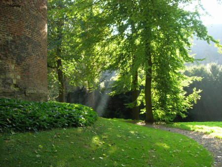 Солнечный луч (Малая Голландия)