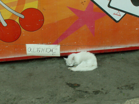 Просьба не беспокоить!