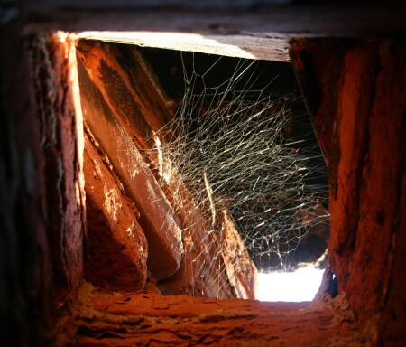 в паутине солнца