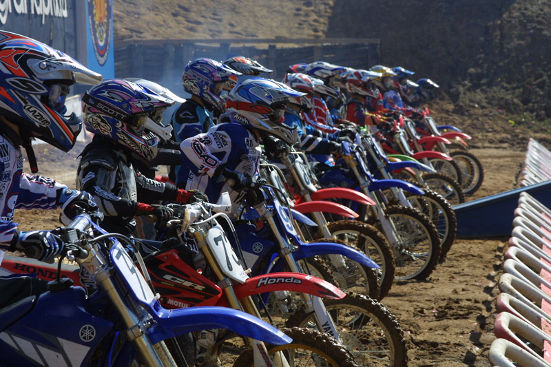 MX