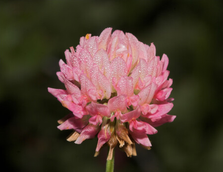 природная красота...