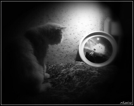 Тени любви....