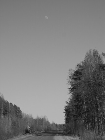 Летняя луна