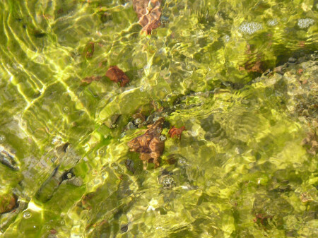 А говорят Красное море синее...