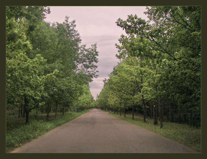 аллея