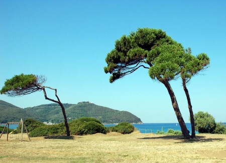 Baratti. Toscana.