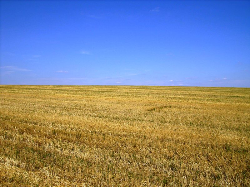 Украина - после уборки урожая