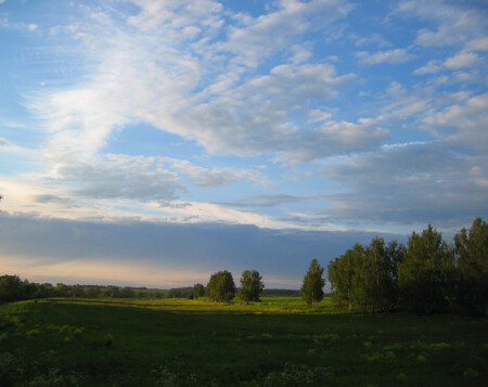 летний вечер