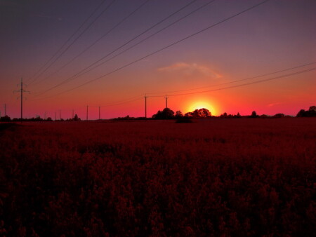 Летящая к солнцу.