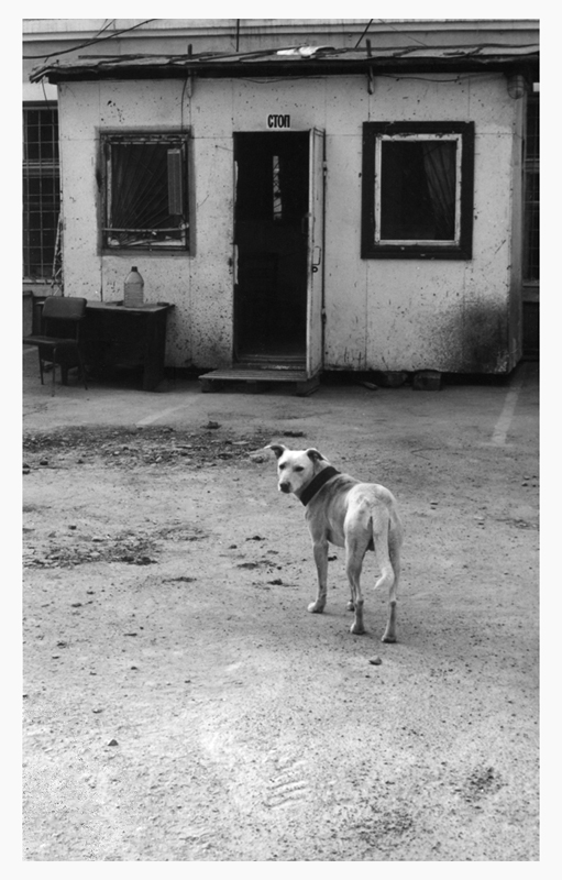 no place like home II