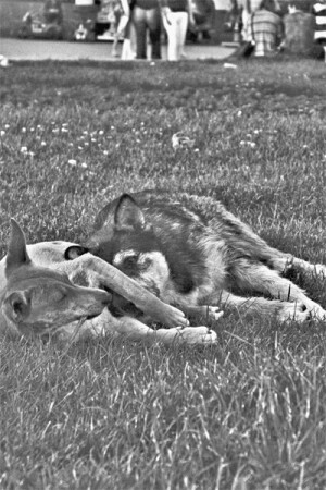 быть вместе