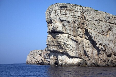 Взгляд Скалы.