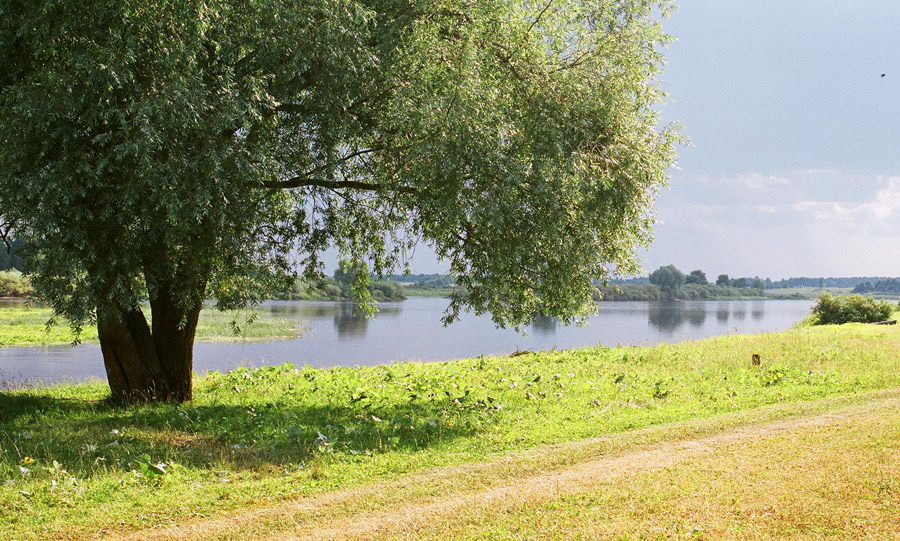 Шелонь перед грозой