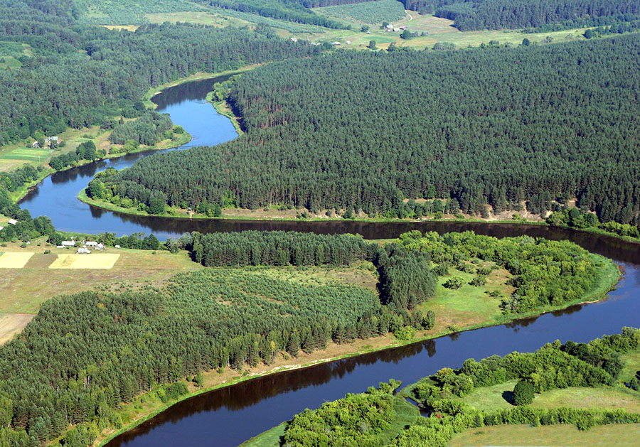 берега
