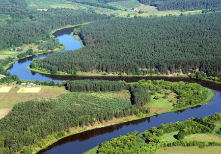 берега