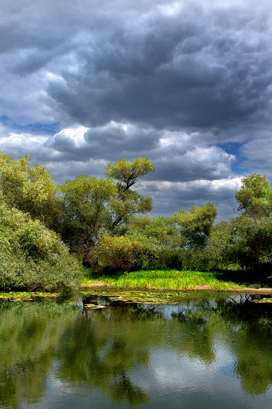 лужайка