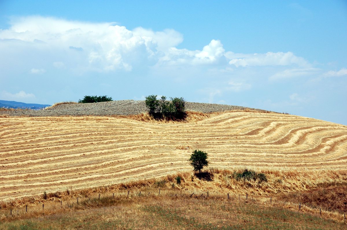 Campagna Senese. Toscana.