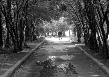 Туда где свет