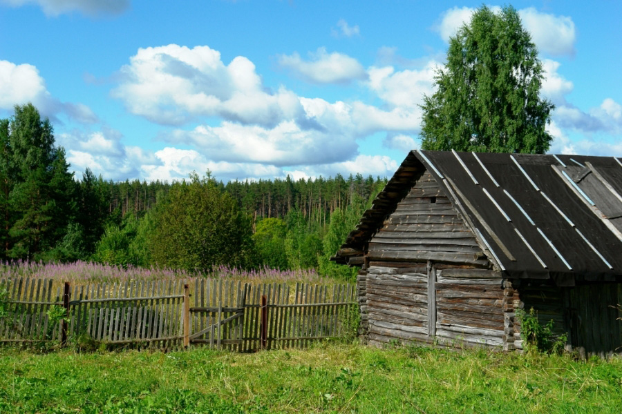 Спокойная старость