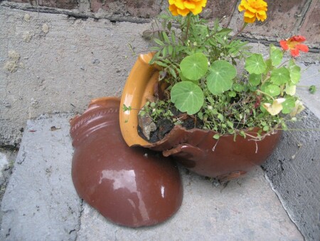 Битый горшок