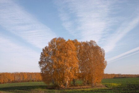Осень. В небе жгут корабли (С)