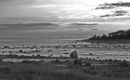 ривьера для каторжника