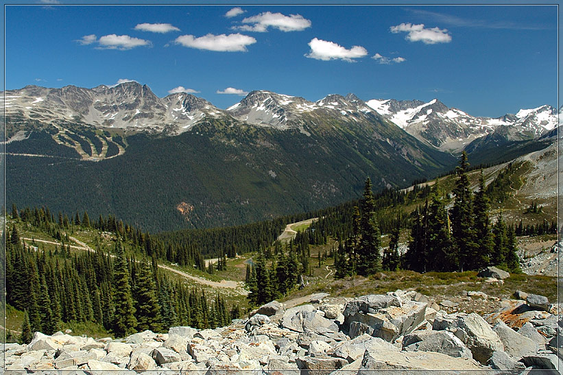 Whistler