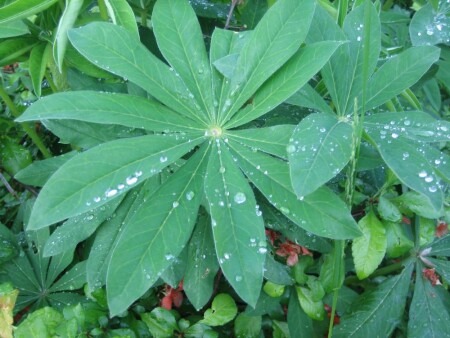 Красота по-настоящему