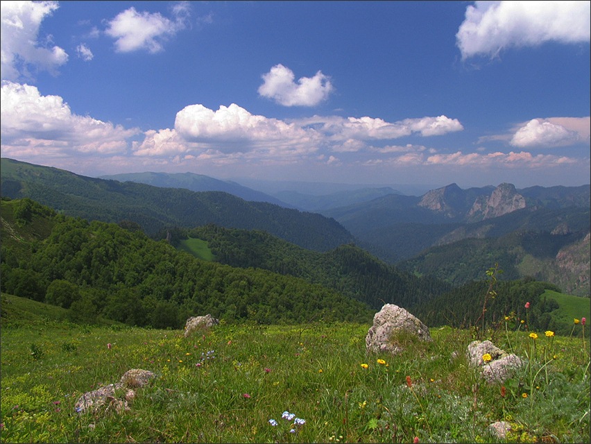 тёплая планета