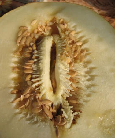 Видение (ударение на Ваше усмотрение) 