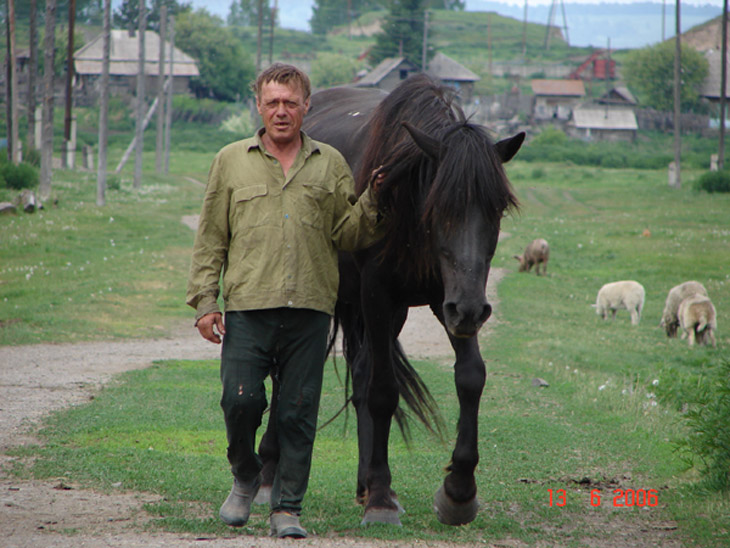 Товарищи.