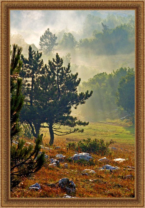 Ай-Петри. Крым.