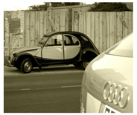 По обе стороны дороги