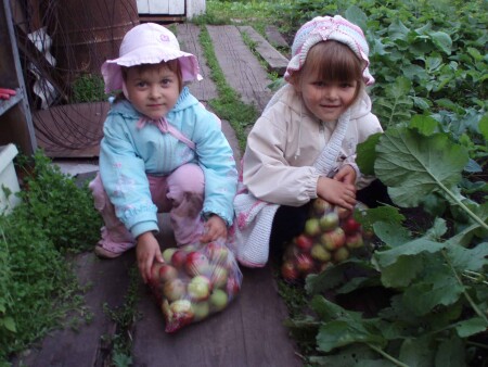 Сборщицы урожая
