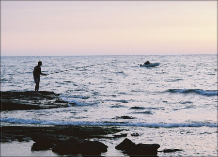 Ловись, рыбка...