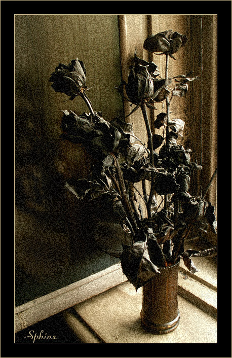 La Decadence #2