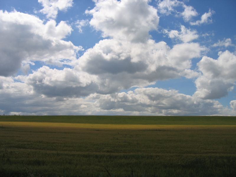 Windows XP RUS