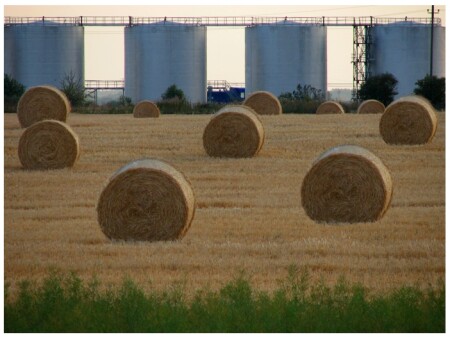 Пристрастие к цилиндрическим формам.