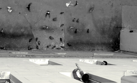 Разговоры с соседями...и кормление голубей