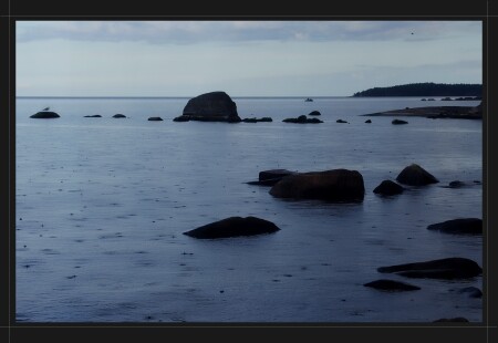 Меланхолия